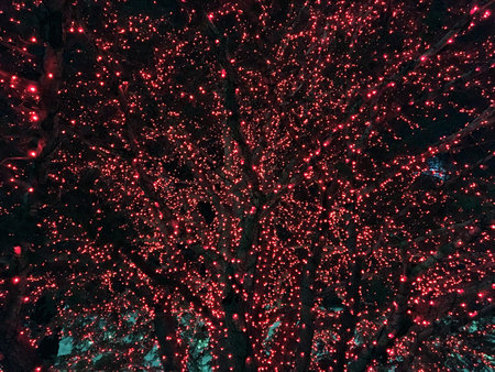 Background Abstract of red Christmas lights on tree in temple square by LDS mormon temple in Salt...