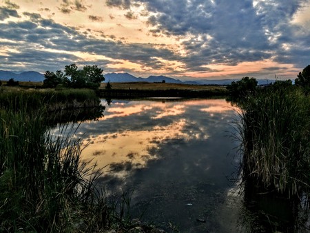 Joshâs Pond Reflecting Sunset in Broomfield Colorado surrounded by Cattailsの写真素材