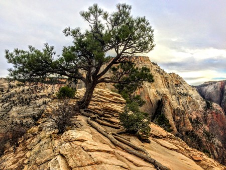 Panoramic View from the Angels Landing Trail Zions National Park Utah USAの写真素材