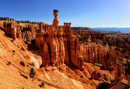 Pine Trees in Bryce Canyon National Park in Utah blue partly cloudy skies.の写真素材