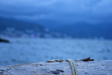 Close up view of Sea Shells, rocks and Rope on Log Beach with Pacific Ocean blurred in background from beach in Puerto Vallarta Mexico.の写真素材