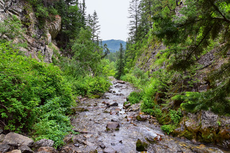 Waterfall and river stream Mountain views from hiking trails to Doughnut Falls in Big Cottonwood Canyon, in the Wasatch front Rocky Mountains, Utah, Western USA.の写真素材
