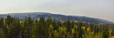 Late Summer early Fall panorama forest views hiking, biking, horseback trails through trees along...