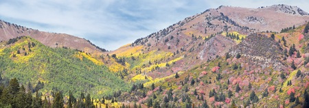 Guardsman Pass views of Panoramic Landscape of the Pass from the Brighton side by Midway and Heber Valley along the Wasatch Front Rocky Mountains, Fall Leaf Forests bright orange and yellow colors. Utah, United States.の写真素材
