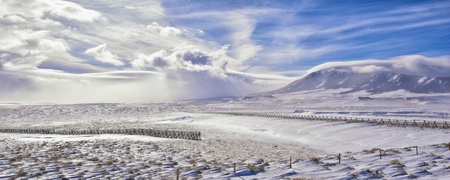 Wyoming countryside panoramic views during a blizzard with mountain with snow covered with overcast grey cloudy sky. Wyoming, United States.の写真素材