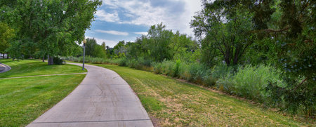 Views of Jordan River Trail with surrounding trees, Russian Olive, cottonwood and silt filled muddy...