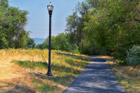 Views of Jordan River Trail with surrounding trees, Russian Olive, cottonwood and silt filled muddy...
