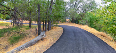 Views of Jordan River Trail with surrounding trees, Russian Olive, cottonwood and silt filled muddy...