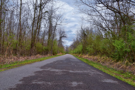 Views of Nature and Pathways along the Shelby Bottoms Greenway and Natural Area Cumberland River...