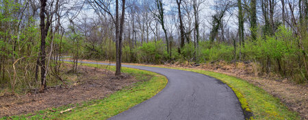 Views of Nature and Pathways along the Shelby Bottoms Greenway and Natural Area Cumberland River...