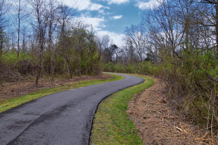 Views of Nature and Pathways along the Shelby Bottoms Greenway and Natural Area Cumberland River...