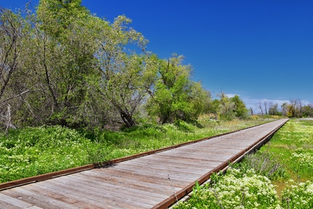 Jordan River Parkway Trail, Redwood Trailhead bordering the Legacy Parkway Trail, panorama views with surrounding trees and silt filled muddy water along the Rocky Mountains, Salt Lake City, Utah.の写真素材