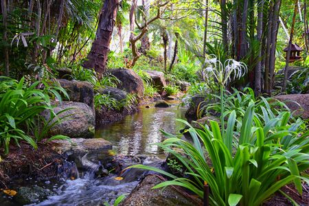 Phuket reception garden area pathway views at Thailand resort, stock photo with no people, near Bangkok. Asia.の写真素材
