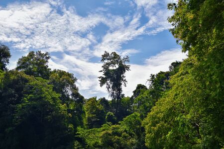 Island, Ocean views near Phuket Thailand with Blues, Turquoise and Greens oceans, mountains, boats, caves, trees resort island of phuket Thailand. Including Phi Phi, Ko Rang Yai, Ko Li Pe and other islands. Asia.の写真素材