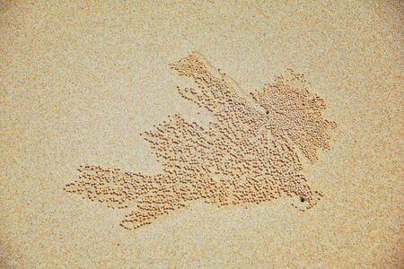 Sand Bubbler Crab, abstract patterns of balls of sand on the beach, of the genera Scopimera and Dotilla, family Dotillidae, Pu Lom in Thai. Found in Indo-Pacific, Phuket, Phi Phi islands near Bangkok, Thailand, Asia.の写真素材