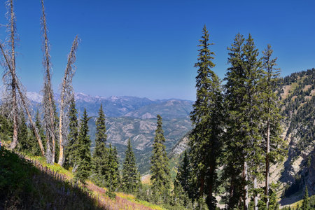 Timpanogos hiking trail landscape views in Uinta Wasatch Cache National Forest, around Utah Lake, in...