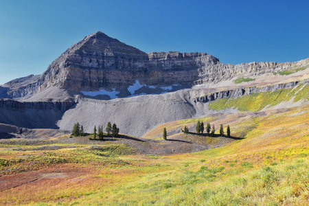 Timpanogos hiking trail landscape views in Uinta Wasatch Cache National Forest, around Utah Lake, in...