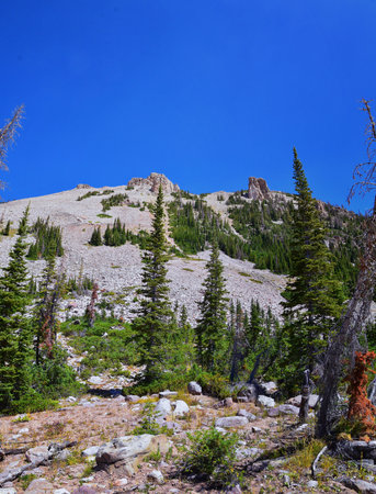 Lake Cuberant hiking trail views of ponds, forest and meadows with Bald Mountain Mount Marsell in...