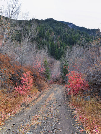 Slate Canyon hiking trail fall leaves mountain landscape view, around Slide Canyon, Rock Canyon and...