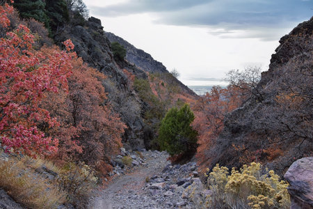 Slate Canyon hiking trail fall leaves mountain landscape view, around Slide Canyon, Rock Canyon and Provo, Wasatch Rocky mountain Range, Utah, United States.の写真素材