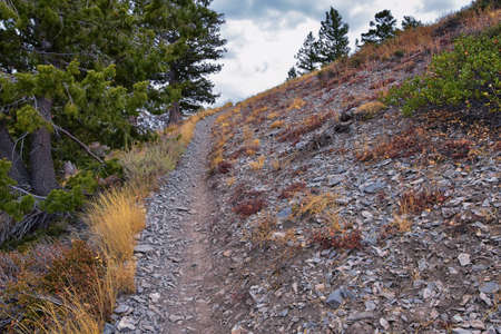 Slide Canyon hiking trail fall leaves mountain landscape view, around Y Trail, Provo Peak, Slate Canyon, Rock Canyon, Wasatch Rocky mountain Range, Utah, United States.の写真素材