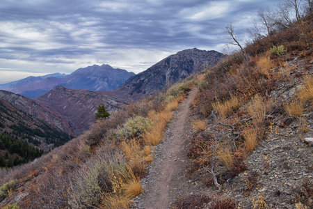 Slide Canyon hiking trail fall leaves mountain landscape view, around Y Trail, Provo Peak, Slate...