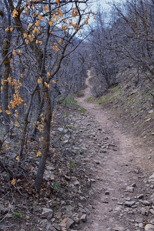 Grandeur Peak hiking trail loop views spring back around Bonneville Shoreline Pipe Line Overlook...