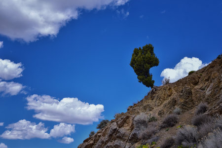 Grandeur Peak hiking trail loop views spring back around Bonneville Shoreline Pipe Line Overlook Rattlesnake Gulch trail, Wasatch Front Rocky Mountains, by Salt Lake City, Utah. United States. USAの写真素材