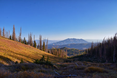 Views from hiking trail of Mount Nebo Wilderness Peak 11,933 feet, fall leaves panoramic, highest in...