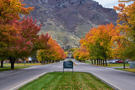 Fall landscape, bright orange red yellow leaves on trees lining road. Colorful fall city park, fall...