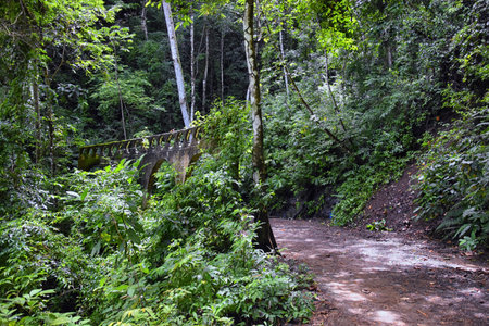 El Miro Ruins, hiking trail views, abandoned mansion, declared biological corridor, in the province...