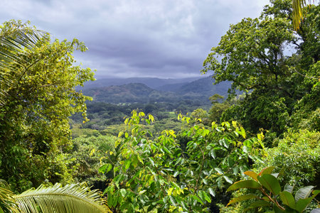 Jaco beach, ocean, city and views, Costa Rica from El Miro Ruins, mansion declared biological corridor, Summer 2022, Central America.の写真素材