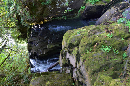 Sweet Creek Falls Waterfall along Hiking Trail Complex near Mapleton Oregon. America.の写真素材