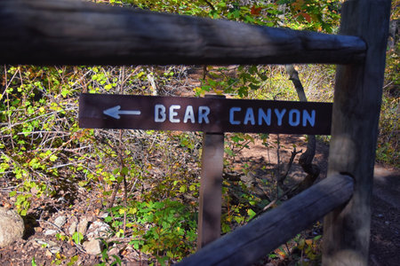 Hiking Trail Sign Bear Canyon Trail by Timpanogos, Wasatch Range Rocky Mountains, Utah. USA.の写真素材