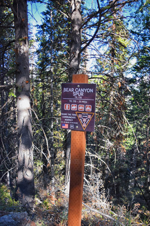 Hiking Trail Sign Bear Canyon Trail by Timpanogos, Wasatch Range Rocky Mountains, Utah. USA.の写真素材