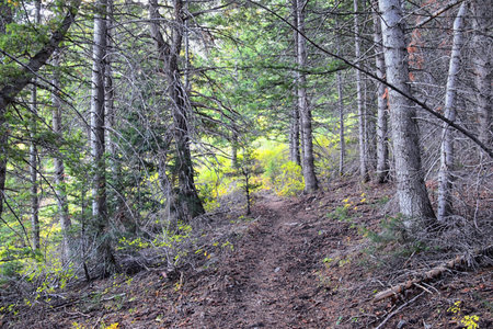 Deseret Peak hiking trail Stansbury Mountains, by Oquirrh Mountains Rocky Mountains, Utah. America.の写真素材