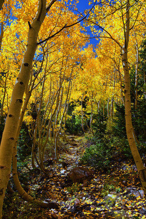 Deseret Peak hiking trail Stansbury Mountains, by Oquirrh Mountains Rocky Mountains, Utah. America.の写真素材