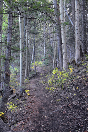 Deseret Peak hiking trail Stansbury Mountains, by Oquirrh Mountains Rocky Mountains, Utah. America.の写真素材