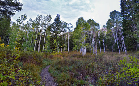 Deseret Peak hiking trail Stansbury Mountains, by Oquirrh Mountains Rocky Mountains, Utah. America.の写真素材