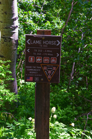 Timpanogos back Primrose overlook Horse Spring hiking trail views Wasatch Rocky Mountains, Utah. United States.の写真素材