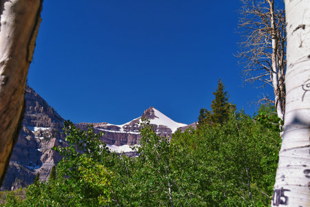 Wasatch Mountain landscape from Primrose Overlook Horse Spring hiking trail by Timpanogos Rocky...