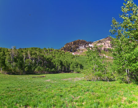 Wasatch Mountain landscape from Primrose Overlook Horse Spring hiking trail by Timpanogos Rocky Mountains, Utah. United States.の写真素材
