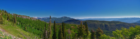 Wasatch Mountain landscape from Primrose Overlook Horse Spring hiking trail by Timpanogos Rocky Mountains, Utah. United States.の写真素材