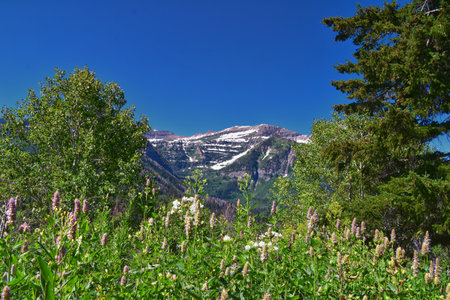 Timpanogos back Pine Hollow hiking views from trail Uinta Wasatch Cache National Forest, Rocky Mountains, Utah. United States.の写真素材