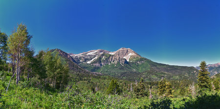 Timpanogos back Pine Hollow hiking views from trail Uinta Wasatch Cache National Forest, Rocky Mountains, Utah. United States.の写真素材