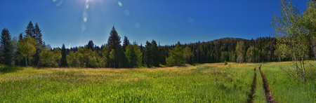 Tibble Fork  hiking trail views Lone Peak Wilderness Uinta Wasatch Cache National Forest, Rocky Mountains, Utah. United States.の写真素材