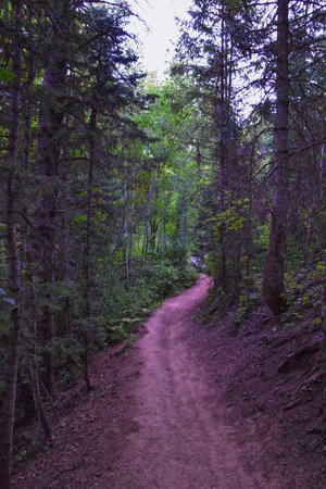 Tibble Fork  hiking trail views Lone Peak Wilderness Uinta Wasatch Cache National Forest, Rocky Mountains, Utah. United States.の写真素材