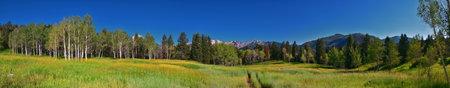 Tibble Fork hiking views from trail Lone Peak Wilderness Uinta Wasatch Cache National Forest, Rocky Mountains, Utah. United States.の写真素材
