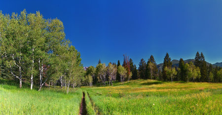 Tibble Fork hiking views from trail Lone Peak Wilderness Uinta Wasatch Cache National Forest, Rocky Mountains, Utah. United States.の写真素材