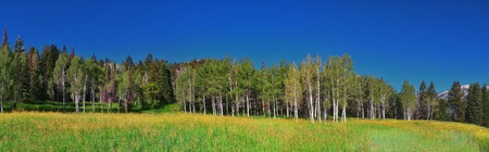 Tibble Fork hiking views from trail Lone Peak Wilderness Uinta Wasatch Cache National Forest, Rocky Mountains, Utah. United States.の写真素材